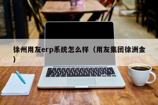 徐州用友erp系统怎么样（用友集团徐洲金）