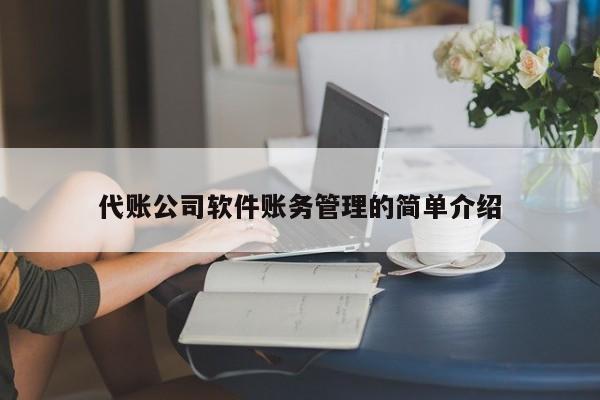 代账公司软件账务管理的简单介绍