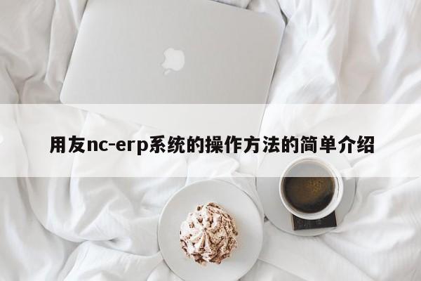 用友nc-erp系统的操作方法的简单介绍