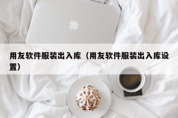 用友软件服装出入库（用友软件服装出入库设置）