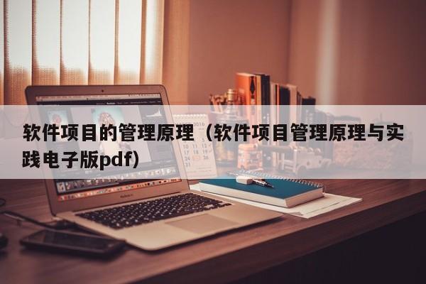 软件项目的管理原理（软件项目管理原理与实践电子版pdf）