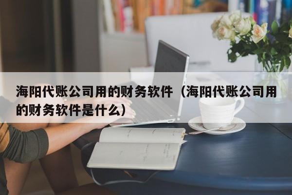 海阳代账公司用的财务软件（海阳代账公司用的财务软件是什么）