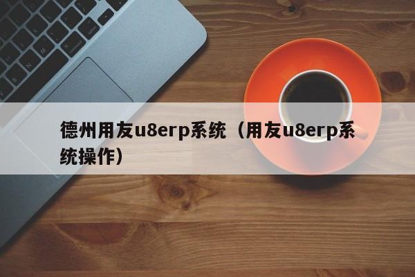 德州用友u8erp系统（用友u8erp系统操作）