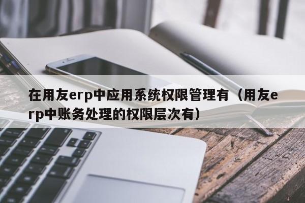 在用友erp中应用系统权限管理有（用友erp中账务处理的权限层次有）