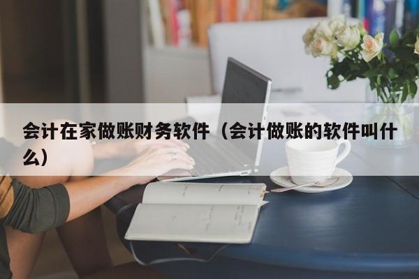 会计在家做账财务软件（会计做账的软件叫什么）