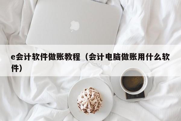 e会计软件做账教程（会计电脑做账用什么软件）