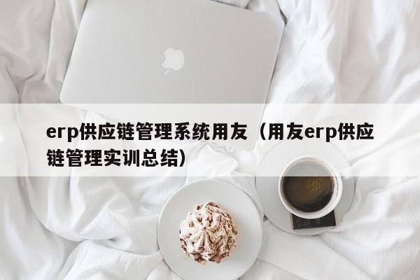 erp供应链管理系统用友（用友erp供应链管理实训总结）