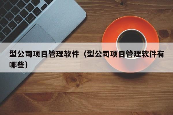 型公司项目管理软件（型公司项目管理软件有哪些）