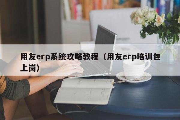 用友erp系统攻略教程（用友erp培训包上岗）