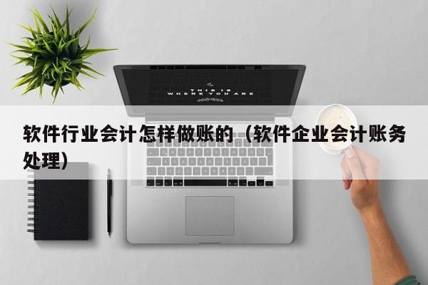 软件行业会计怎样做账的（软件企业会计账务处理）