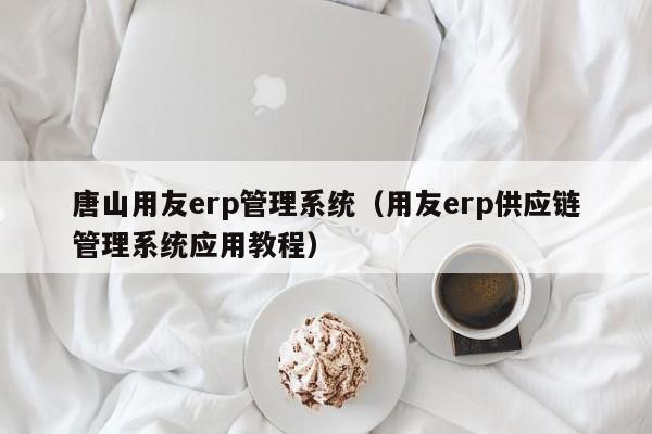 唐山用友erp管理系统（用友erp供应链管理系统应用教程）