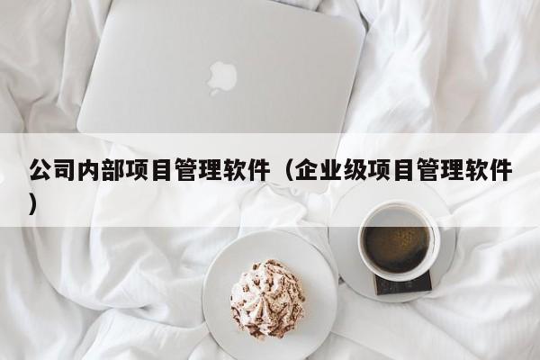 公司内部项目管理软件（企业级项目管理软件）