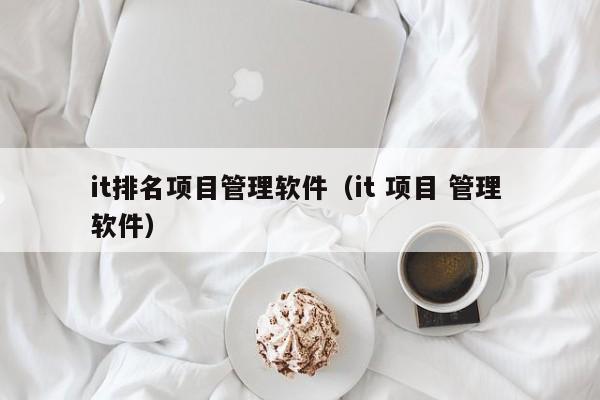 it排名项目管理软件（it 项目 管理 软件）