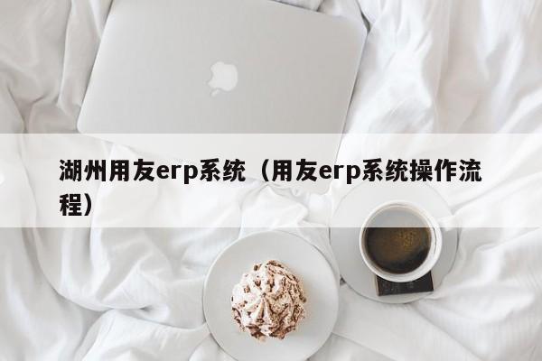 湖州用友erp系统（用友erp系统操作流程）