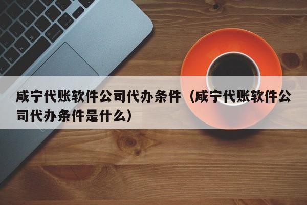 咸宁代账软件公司代办条件（咸宁代账软件公司代办条件是什么）