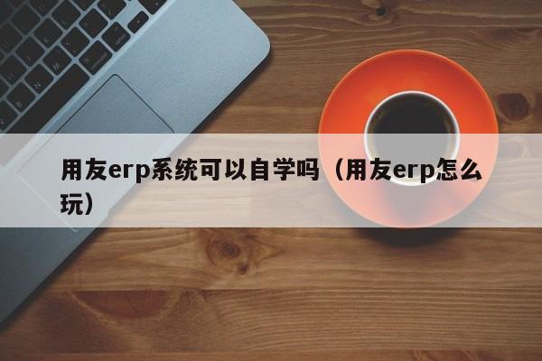 用友erp系统可以自学吗（用友erp怎么玩）