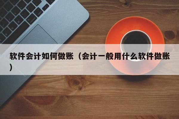 软件会计如何做账（会计一般用什么软件做账）