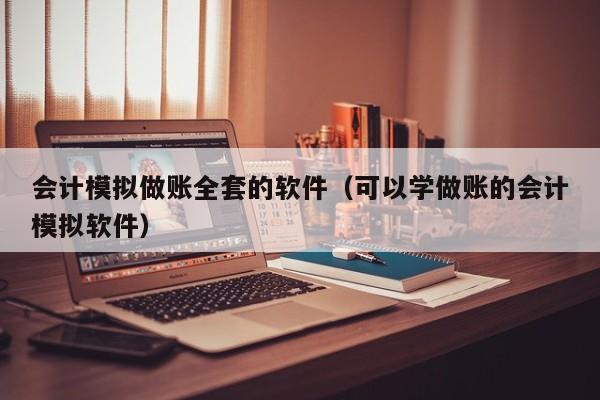 会计模拟做账全套的软件（可以学做账的会计模拟软件）