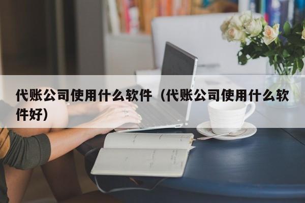 代账公司使用什么软件（代账公司使用什么软件好）