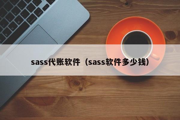 sass代账软件（sass软件多少钱）