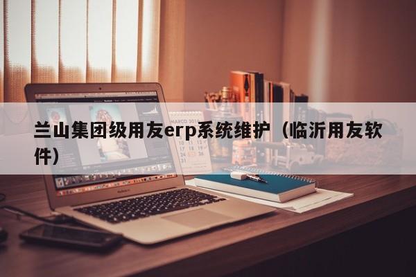 兰山集团级用友erp系统维护（临沂用友软件）