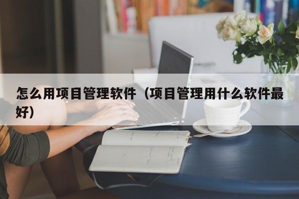 怎么用项目管理软件（项目管理用什么软件最好）