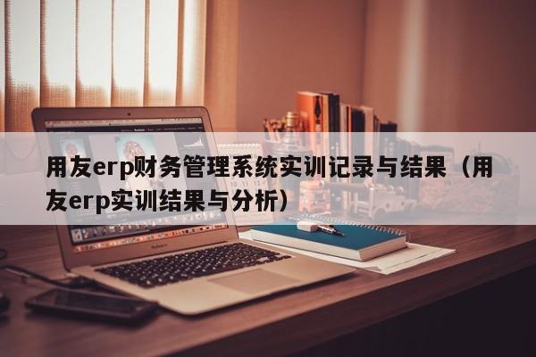 用友erp财务管理系统实训记录与结果（用友erp实训结果与分析）