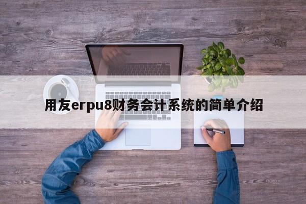 用友erpu8财务会计系统的简单介绍