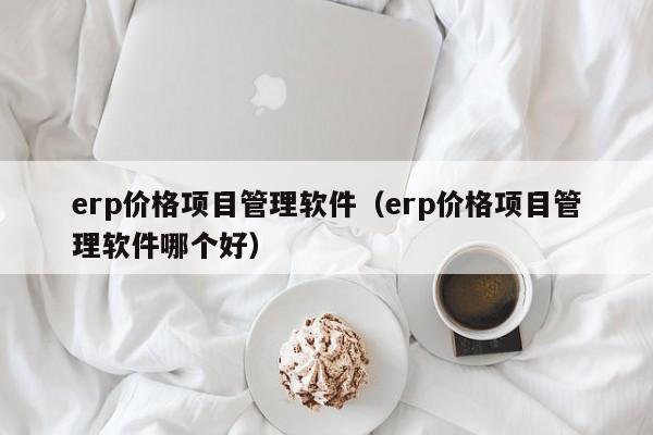 erp价格项目管理软件（erp价格项目管理软件哪个好）