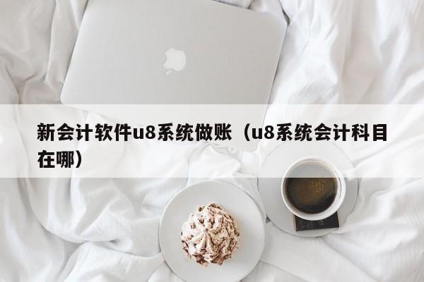 新会计软件u8系统做账（u8系统会计科目在哪）