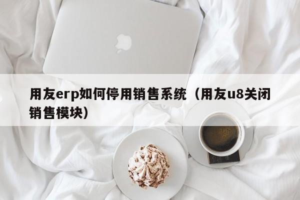 用友erp如何停用销售系统（用友u8关闭销售模块）