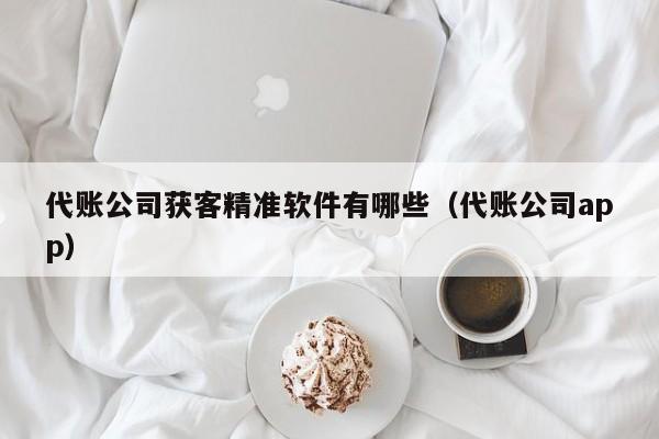 代账公司获客精准软件有哪些（代账公司app）