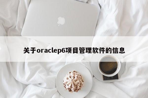 关于oraclep6项目管理软件的信息