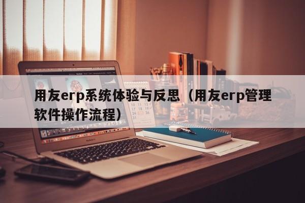 用友erp系统体验与反思（用友erp管理软件操作流程）