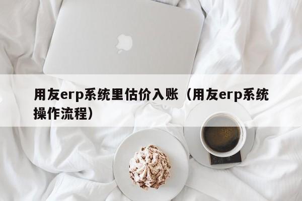 用友erp系统里估价入账（用友erp系统操作流程）