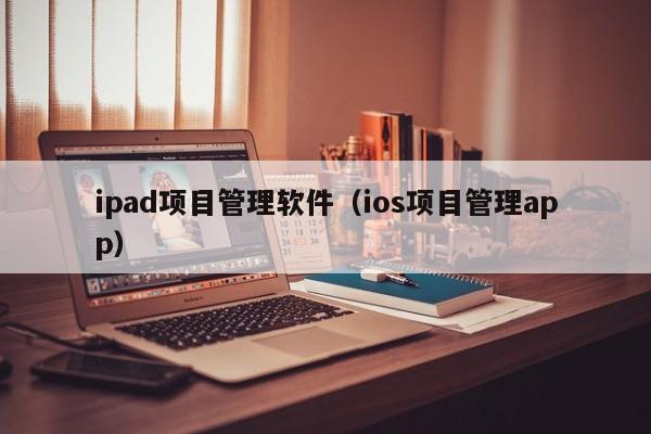 ipad项目管理软件（ios项目管理app）