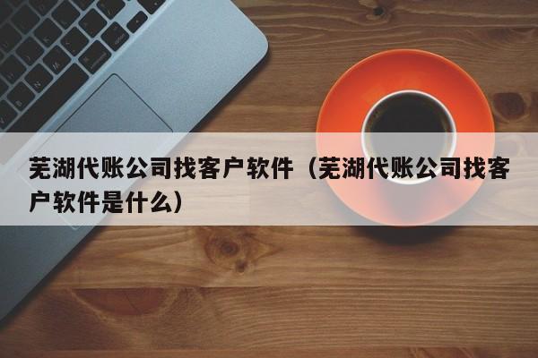 芜湖代账公司找客户软件（芜湖代账公司找客户软件是什么）