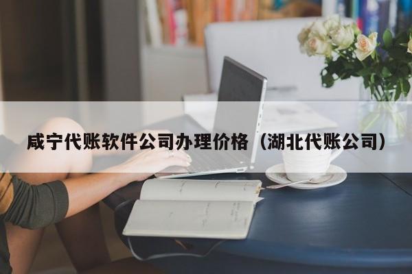 咸宁代账软件公司办理价格（湖北代账公司）