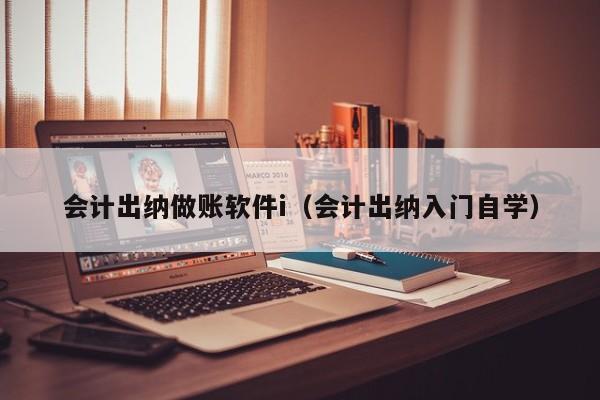 会计出纳做账软件i（会计出纳入门自学）