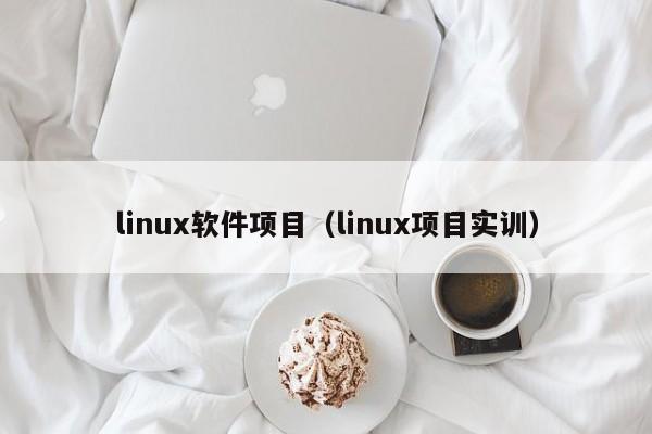 linux软件项目（linux项目实训）