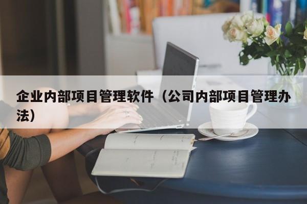 企业内部项目管理软件（公司内部项目管理办法）