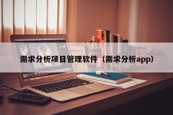 需求分析项目管理软件（需求分析app）