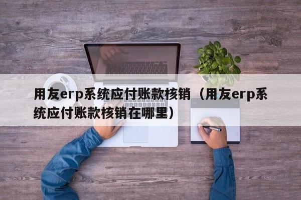 用友erp系统应付账款核销（用友erp系统应付账款核销在哪里）