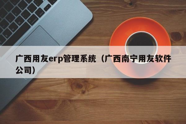 广西用友erp管理系统（广西南宁用友软件公司）