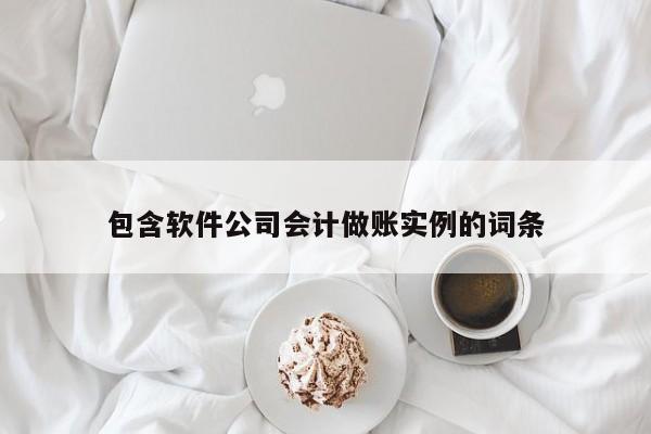 包含软件公司会计做账实例的词条