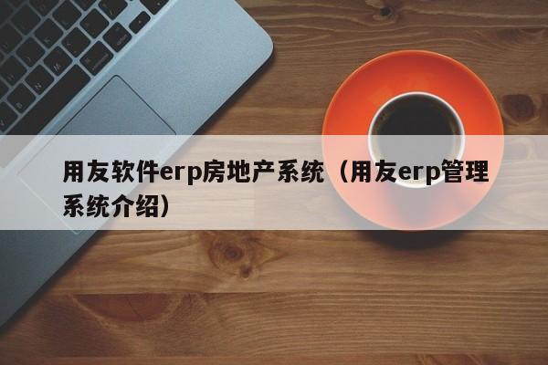 用友软件erp房地产系统（用友erp管理系统介绍）