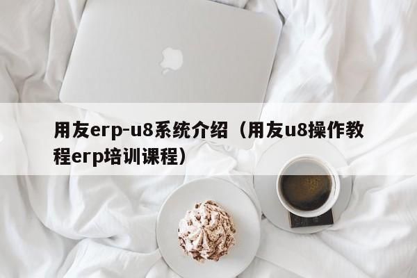 用友erp-u8系统介绍（用友u8操作教程erp培训课程）