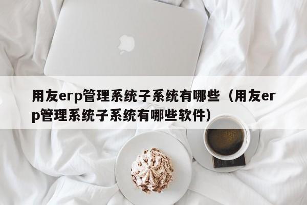 用友erp管理系统子系统有哪些（用友erp管理系统子系统有哪些软件）