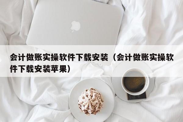 会计做账实操软件下载安装（会计做账实操软件下载安装苹果）