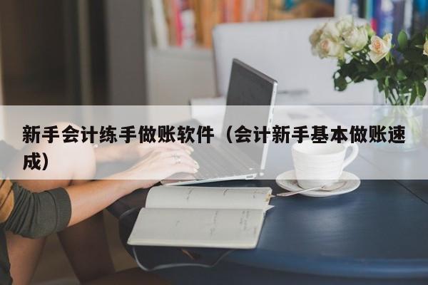 新手会计练手做账软件（会计新手基本做账速成）